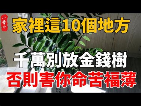 門口點燈|【門口點燈】破解風水迷思！揭開「門口點燈」的禁忌與吉兆